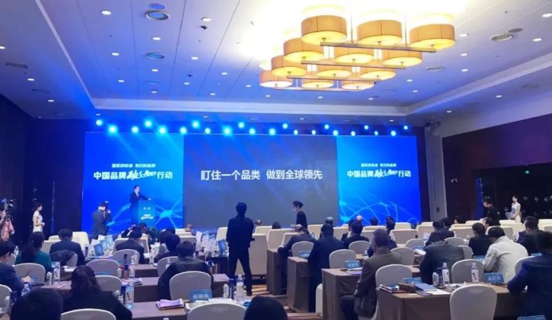 定了！美麗島進了國家隊，新華社專訪