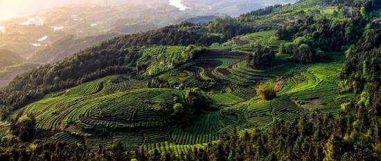 美麗島多焦鏡：這個(gè)明凈新春，以時(shí)間為軸，扶搖直上